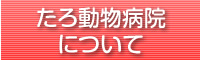 たろ動物病院について