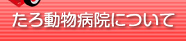 たろ動物病院について